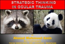 Ocular Trauma – Management and Diagnosis of Eye Injuries (2023) Ahmed Mahmoud Amin