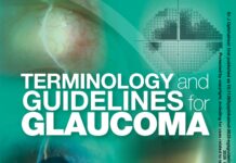 Terminology and Guidelines for Glaucoma (2026) European Glaucoma Society