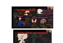 Physiology by Dr. El-Sherif – Vasopressin (ADH) and Posterior Pituitary Hormones (2024) Dr. El-Sherif