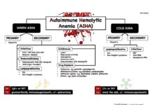 Clinical Hematology Review – Autoimmune Hemolytic Anemia and Coagulation Disorders (2024) Anonymous