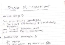 Stroke Physiotherapy Management – A Practical Guide to Acute and Post-Acute Rehabilitation Strategies (2023) Legend Physio