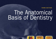 The Anatomical Basis of Dentistry (2011) Bernard Liebgott