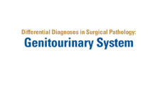 Differential Diagnoses in Surgical Pathology – Genitourinary System (2014) Jonathan I. Epstein