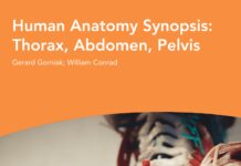 Human Anatomy Synopsis – Thorax, Abdomen, Pelvis (2018) Gerard Gorniak