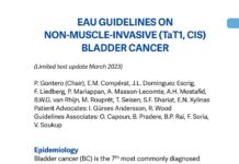 EAU Guidelines on Non-Muscle-Invasive (TaT1, CIS) Bladder Cancer – Limited Text Update (2023) P. Gontero