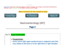 GIT Notes 2 PLAB 1 Keys and Notes (2024) Unspecified