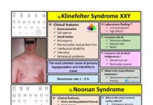 Pediatric Syndromes – High-Yield Clinical Review and Guide (2024) On Squares