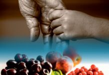 Aging – Oxidative Stress and Dietary Antioxidants (2020) Unknown Editor