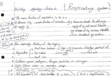 Respiratory System – Physiology Lectures 1, 2, and 3 (2024) Dr. Nagi