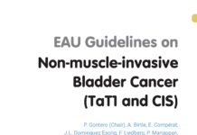 EAU Guidelines on Non-muscle-invasive Bladder Cancer – (TaT1 and CIS) (2025) P. Gontero
