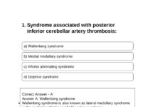 Clinical Neuroanatomy and High-Yield Medical Sciences – Integrating Anatomy, Pathology, and Neurology for Medical Board Preparation (2025) Dr. A. V. Krishnan