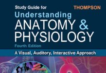 Study Guide for Understanding Anatomy & Physiology – A Visual, Auditory, Interactive Approach (2025) Gale Sloan Thompson, RN