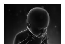 PEDIATRICS – Notes by MedSN (2024) MedSN
