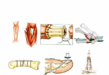 Plastic Surgery – Volume 7 () McCarthy