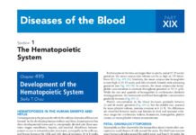 Nelson Textbook of Medicine – Part XIX – Diseases of the Blood (2024) Nelson