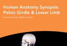 Human Anatomy Synopsis – Pelvic Girdle & Lower Limb (2018) Gerard Gorniak