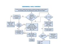 Medical Algorithms for Diagnosis and Treatment (2023) Dr. John M. Smith