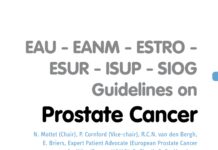 Guidelines on Prostate Cancer – EAU – EANM – ESTRO – ESUR – ISUP – SIOG Guidelines (2023) N. Mottet