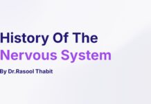 History Of The Nervous System (2024) Dr.Rasool Thabit