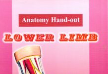 Anatomy Lower Limb (2020) Sameh Doss