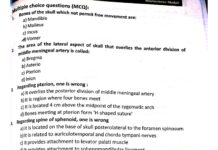 Multiple Choice Questions in Anatomy – Head and NeckNeuroscience Module MCQs (2024) NA