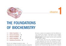 Lehninger Principles of Biochemistry (2013) David L. Nelson