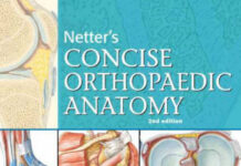 Netter’s concise orthopaedic anatomy (2010) Jon C. Thompson