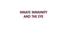 The Eye – Basic Sciences in Practice (2006) John V. Forrester