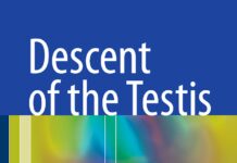Descent of the Testis (2016) John M. Hutson