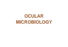 Ocular Microbiology (2010) PK Mukherjee