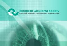 Terminology and Guidelines for Glaucoma (2020) European Glaucoma Society