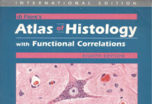 Di Fiore’s Atlas of Histology – with Functional Correlations (2001) Victor P. Eroschenko