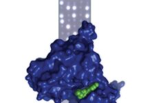 Essential Biochemistry (2017) Charlotte W. Pratt
