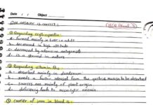 Blood MCQs – Review Questions and Answers in Hematology (2023) Dr. Nagi