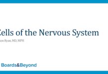 Cells of the Nervous System – Neuroanatomy and Cellular Physiology Fundamentals (2025) Jason Ryan, MD, MPH