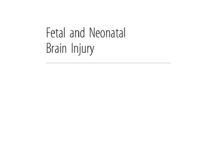 Fetal and Neonatal Brain Injury (2018) David K. Stevenson