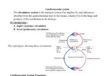 Clinical Cardiology – A Comprehensive Guide to Diagnosis and Treatment of Heart Disease (2023) Dr. John M. Smith