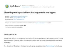 Closed spinal dysraphism – Pathogenesis and types (2025) Chaouki Khoury