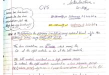 Cardiovascular System Physiology – Introduction to Circulation, Heart Chambers, Valves, and Cardiac Fibers (Lec 1 & 2) (2024) Dr. Nagi