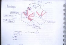 Liver and GIT Revision Book (2024) Hawary
