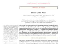 Small Renal Mass – Clinical Practice (2010) Inderbir S. Gill, M.D.
