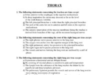Anatomy MCQs Thorax – Multiple Choice Questions for Review (2024) Medical Review Staff