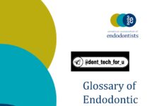 Glossary of Endodontic Terms (2020) Paul D. Eleazer