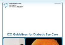 ICO Guidelines for Diabetic Eye Care – 2014 Update (2014) Tien Yin Wong