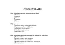 Biochemistry Multiple Choice Questions – Carbohydrates, Sugars, and Glycogen Metabolism (2024) NA
