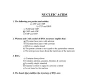 Biochemistry Multiple Choice Questions – Nucleic Acids, DNA Structure, and Molecular Genetics (2023) Dr. A. K. Singh