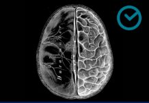 NEUROSURGERY – The Essential Guide to the Oral and Clinical Neurosurgical Exam (2023) Vivian A. Elwell