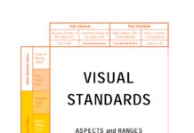 VISUAL STANDARDS – ASPECTS and RANGES of VISION LOSS with Emphasis on Population Surveys (2002) International Council of Ophthalmology (ICO)