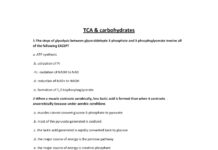 Biochemistry MCQs – Citric Acid Cycle (TCA) and Carbohydrate Metabolism (2024) Not Specified